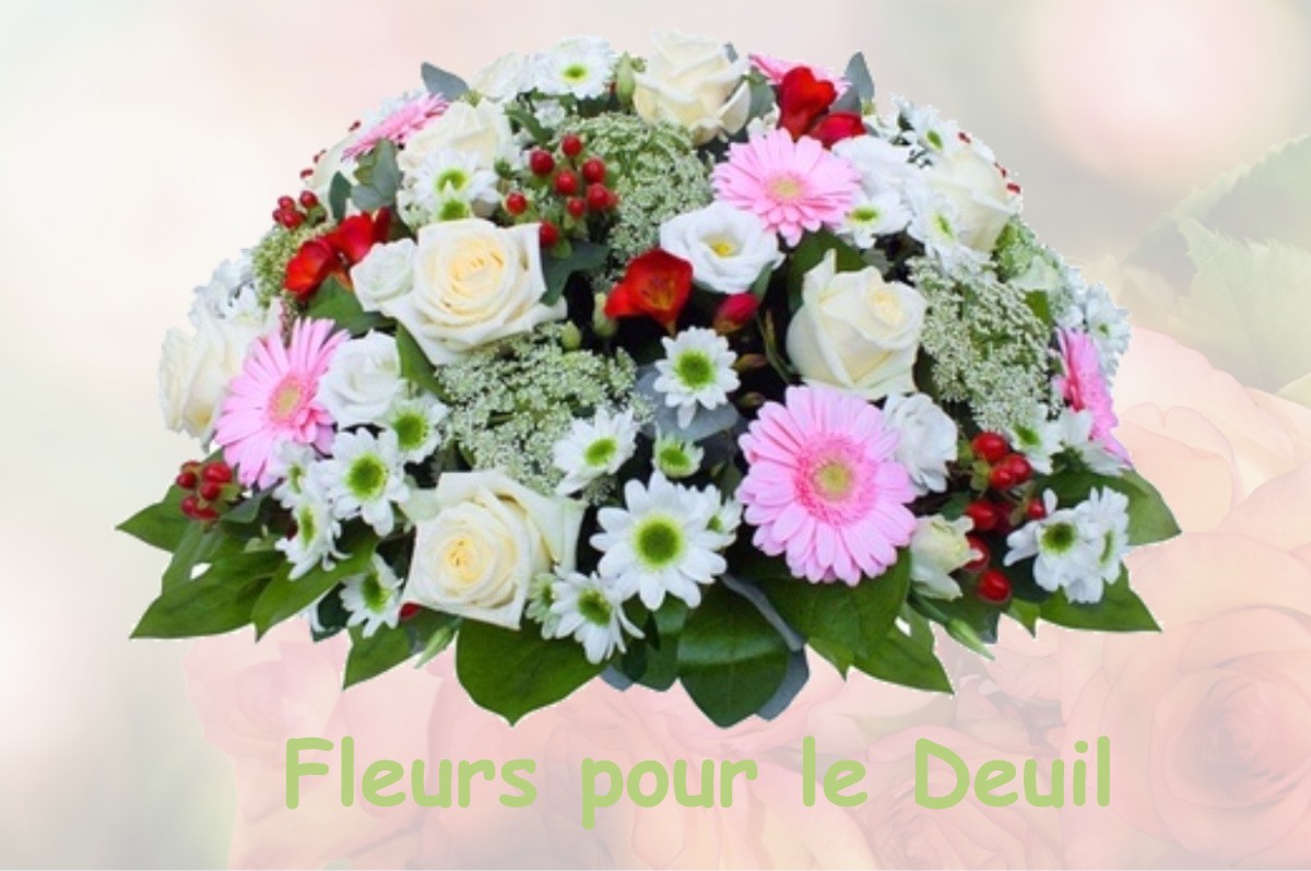 fleurs deuil SAINT-JEAN-LE-BLANC